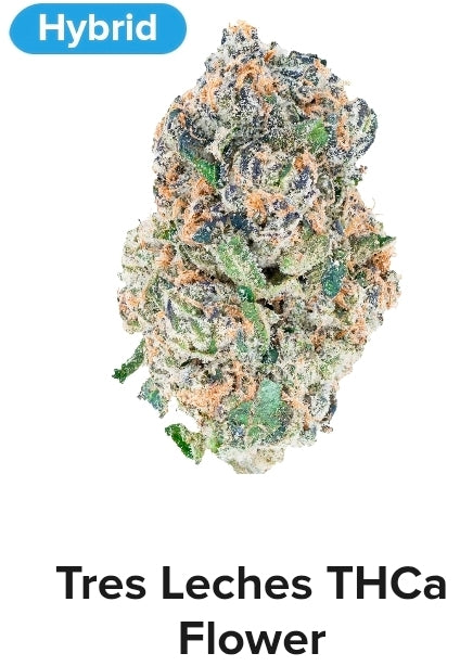 3.5grams Tres Leches TCHa Flower